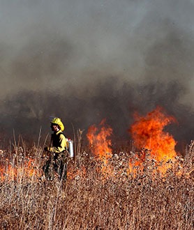 How climate change could bring about a fire safety crisis