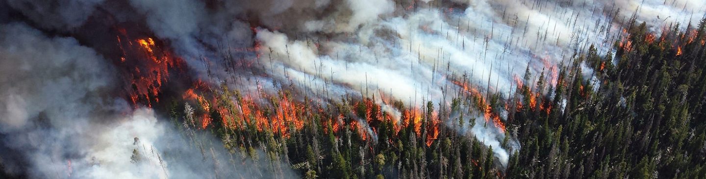 Wildfires cast light on the future of fire protection