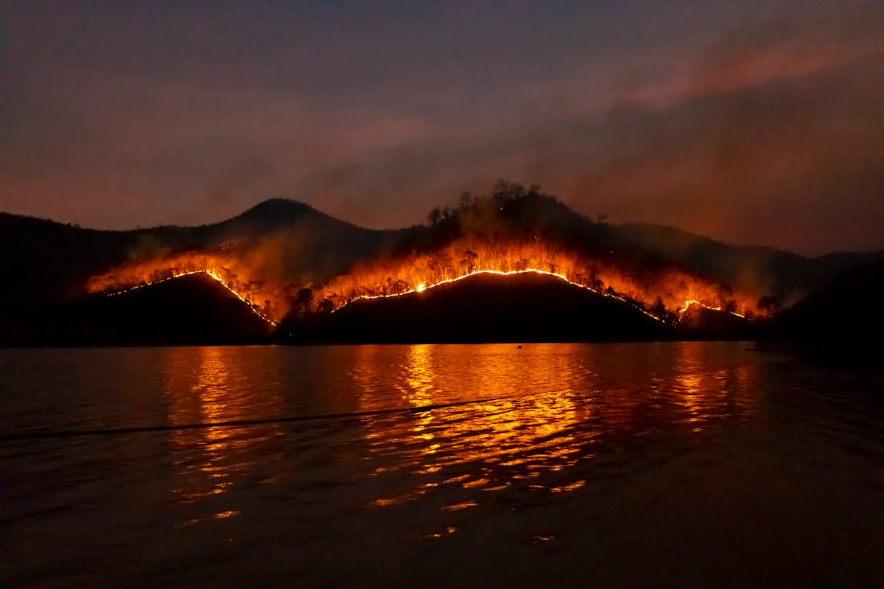 Could fire barriers help stop wildfires?